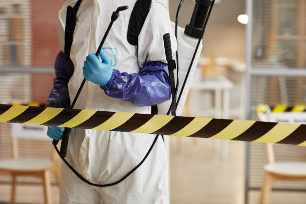 Professional Sewage Cleanup technician working in Riverside, MO